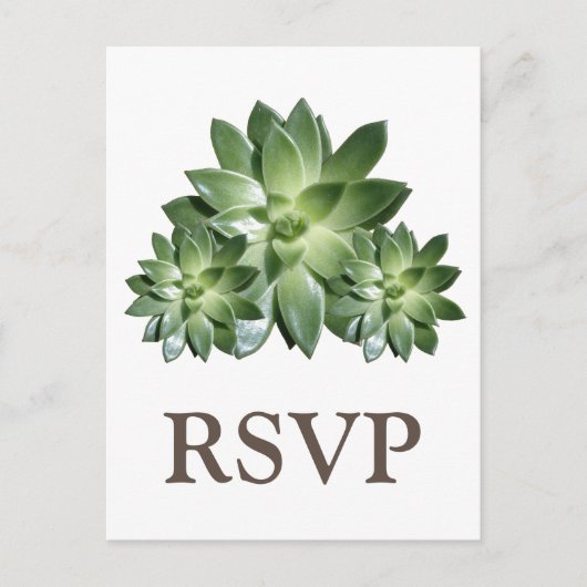 Simple Succulent Wedding RSVP-Briefkaart Uitnodiging Briefkaart (Voorkant)