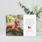 Simple Two Photo Pet Sitter Bedankkaart (Staand voorkant)