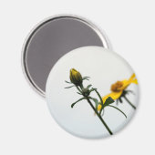 Simple Yellow Flowers Round Magnet (Voorkant / Achterkant)