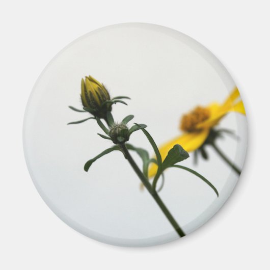 Simple Yellow Flowers Round Magnet (Voorkant)