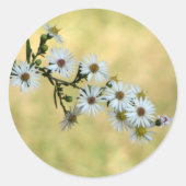 SimpleDelight Stickers (Voorkant)