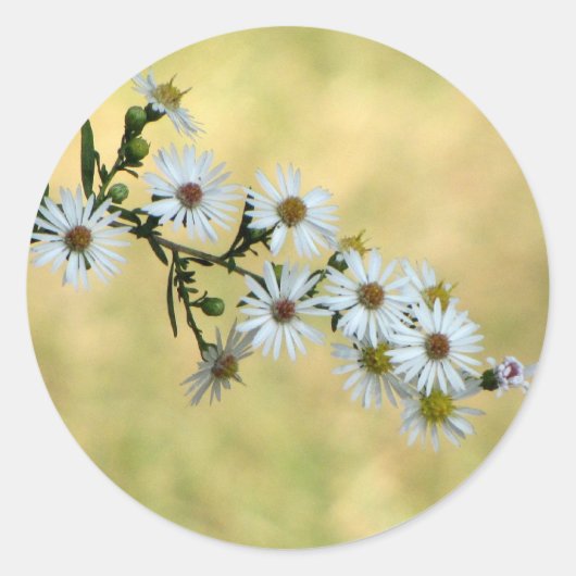 SimpleDelight Stickers (Voorkant)