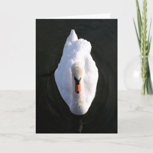 Simplicity Swan Wenskaart Kaart (Voorkant)