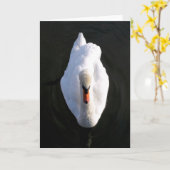 Simplicity Swan Wenskaart Kaart (Gele Bloem)