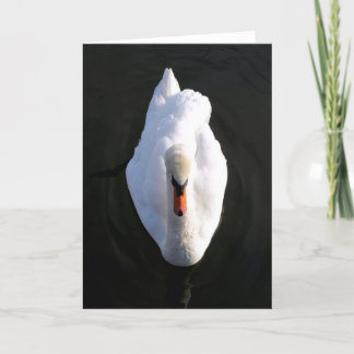 Simplicity Swan Wenskaart Kaart