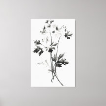 Simplistische koriander verlaat lijntekening