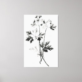 Simplistische koriander verlaat lijntekening canvas afdruk