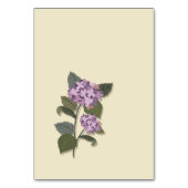 Simplistische Paarse bloem met groene bladeren Kaart (Achterkant)