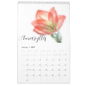 Simply Beautiful Flowers Wall Calendar Kalender (Jan 2027)