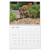 Simply Dogs calendar Kalender (Mar 2026)