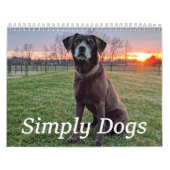 Simply Dogs calendar Kalender (Hoes)