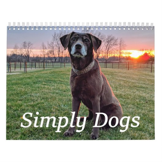 Simply Dogs calendar Kalender (Hoes)
