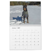 Simply Dogs kalender (Jan 2027)