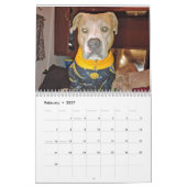 Simply Dogs kalender (Feb 2027)
