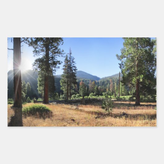 Simpson Meadow - Sierra Rechthoekige Sticker (Voorkant)