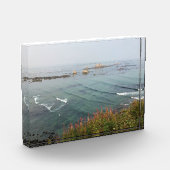 Simpson Reef Overlook, oregon Coast Fotoblokken (Links)