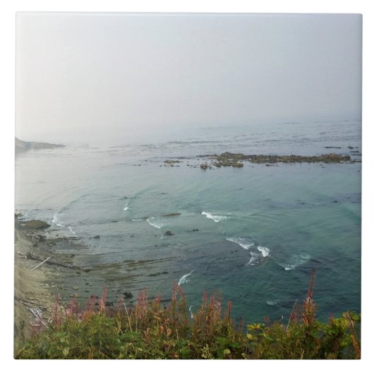 Simpson Reef Overlook, Oregon Coast Tegeltje (Voorkant)