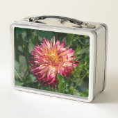 Sinaas Chrysanthemum Fotografie, Canadese Schoonhe (Achterkant)