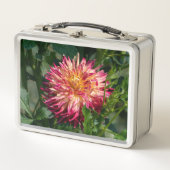 Sinaas Chrysanthemum Fotografie, Canadese Schoonhe (Voorkant)