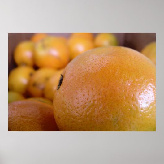 SINAASAPPEL 2 POSTER (Voorkant)