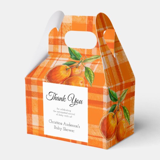 Sinaasappel 3D Citrus Plaid Handgetrokken Baby sho Bedankdoosjes (Achterkant)
