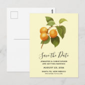 Sinaasappel Abrikozen Waterverf Save the Date Briefkaart (Voorkant / Achterkant)