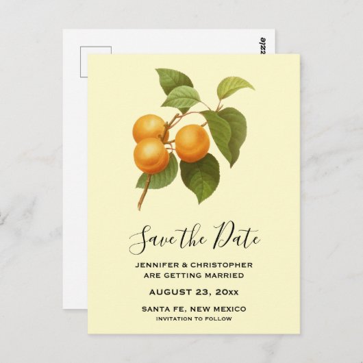 Sinaasappel Abrikozen Waterverf Save the Date Briefkaart (Voorkant / Achterkant)