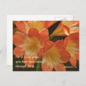 Sinaasappel Amaryllis Briefkaart (Voorkant / Achterkant)