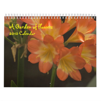 Sinaasappel Amaryllis Kalender