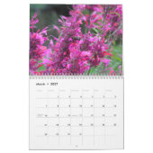 Sinaasappel Amaryllis Kalender (Mar 2027)