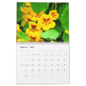 Sinaasappel Amaryllis Kalender (Feb 2027)