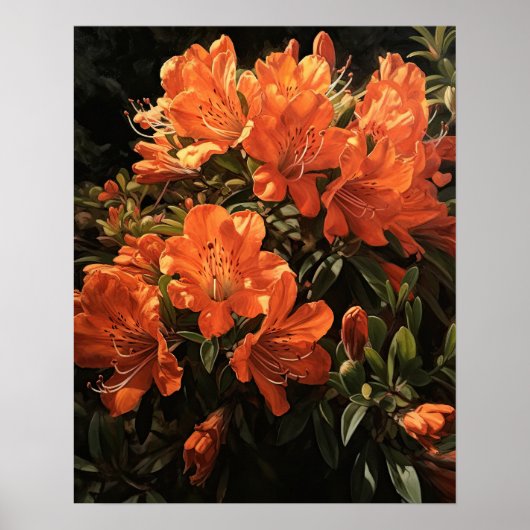 Sinaasappel Azalea Flowers Art Print Poster (Voorkant)