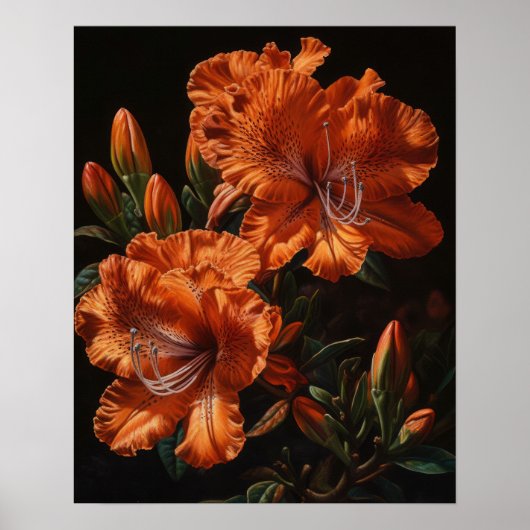 Sinaasappel Azalea Flowers Art Print Poster (Voorkant)