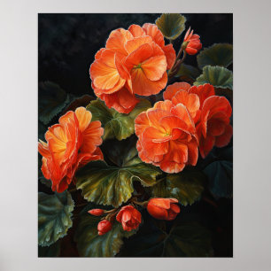 Sinaasappel Begonia Flowers Art Print Poster