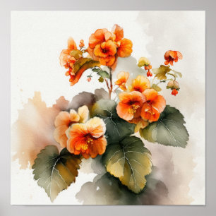 Sinaasappel Begonias Bloem Kunstprint Poster