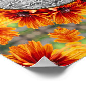 Sinaasappel Black Eyed Susan Daisy Uw foto toevoeg Poster (Hoek)