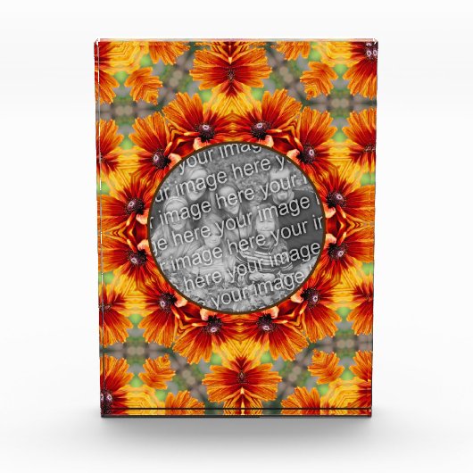 Sinaasappel Black Eyed Susan Daisy Voeg toe Fotoblokken (Voorkant)