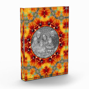 Sinaasappel Black Eyed Susan Daisy Voeg toe Fotoblokken