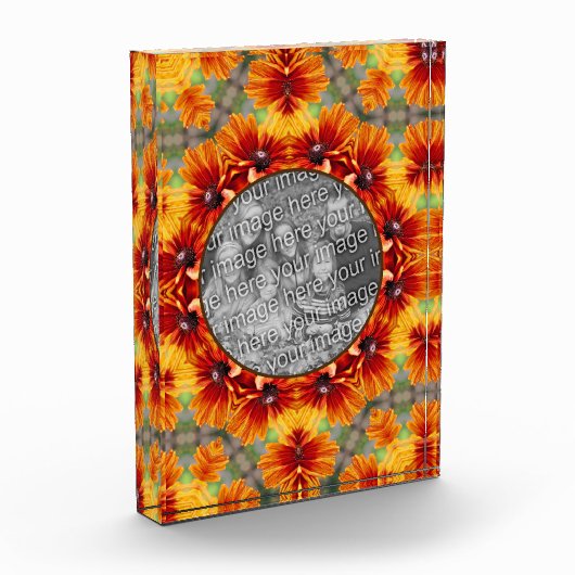 Sinaasappel Black Eyed Susan Daisy Voeg toe Fotoblokken (Links)