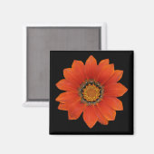 Sinaasappel Bloem 2 Magneet (Voorkant / Achterkant)