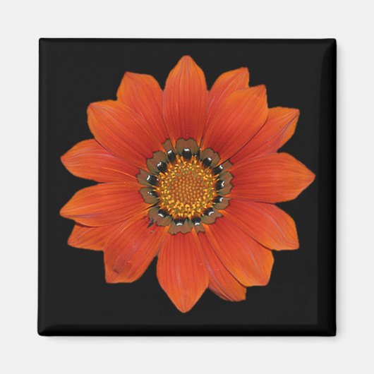 Sinaasappel Bloem 2 Magneet (Voorkant)