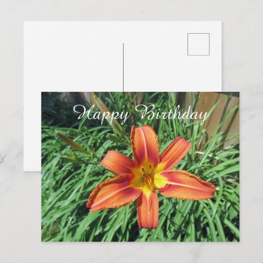 Sinaasappel Bloem Fotografie Verjaardag Briefkaart (Voorkant / Achterkant)