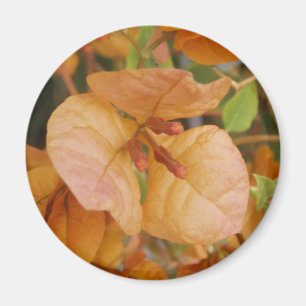 Sinaasappel Bougainvillea Magnet
