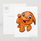 Sinaasappel Briefkaart (Voorkant / Achterkant)