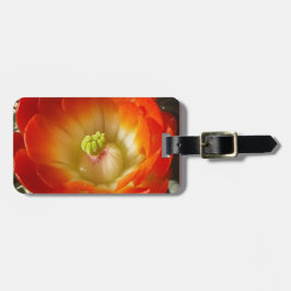 Sinaasappel-cactus-bloem Bagagelabel