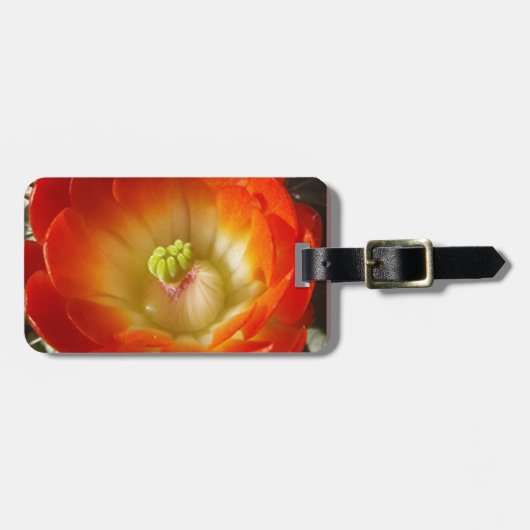 Sinaasappel-cactus-bloem Bagagelabel (Voorkant horizontaal)