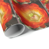 Sinaasappel-cactus-bloem Cadeaupapier (Rol Hoek)