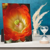 Sinaasappel-cactus-bloem Fotoplaat (Zijkant)