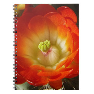Sinaasappel-cactus-bloem Notitieboek