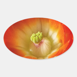Sinaasappel-cactus-bloem Ovale Sticker